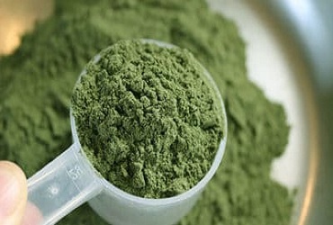 Water Soluble Fertilizer and Micronutrients